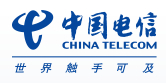 中国电信集团系统集成有限责任公司
